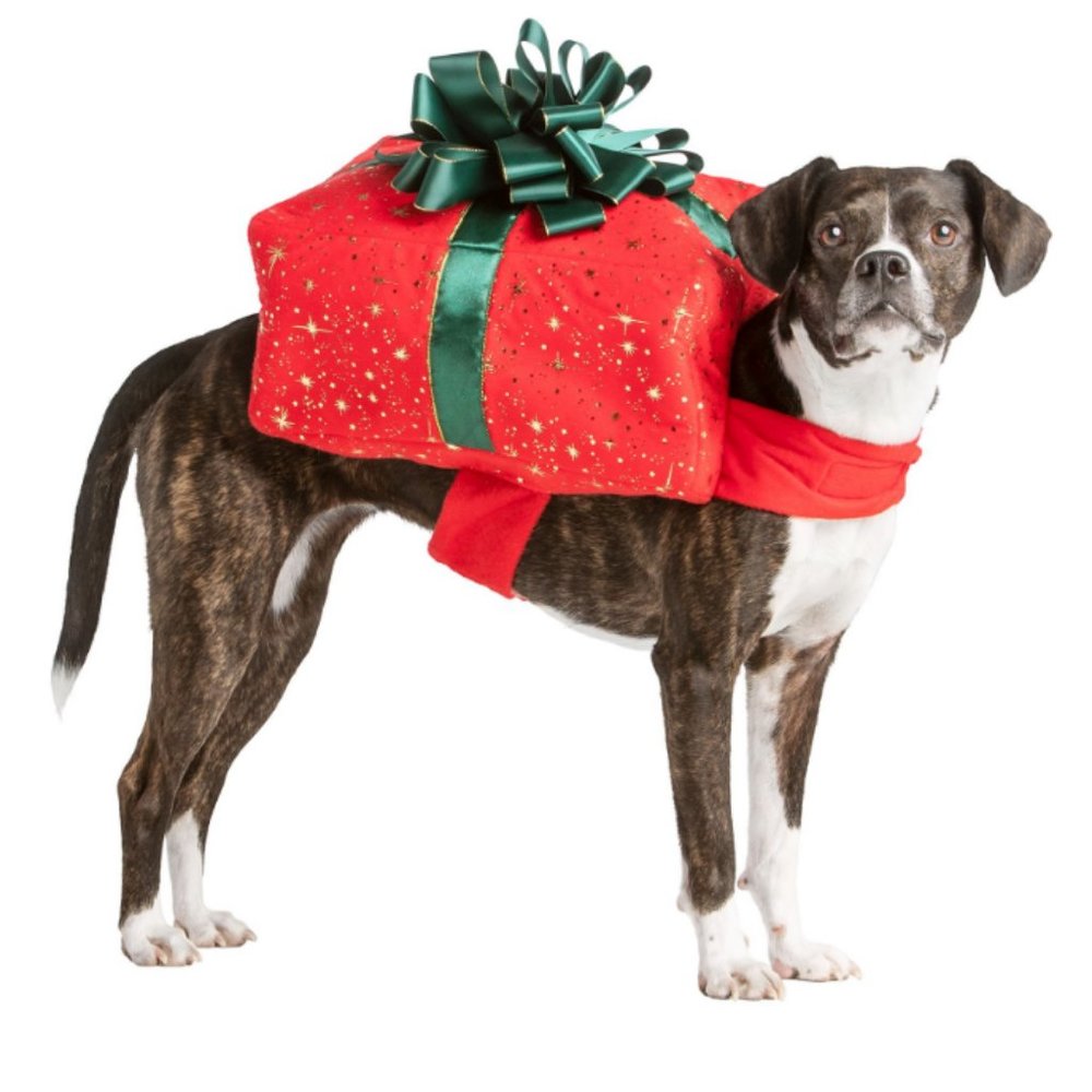 Present Gift Box costume for Pet dog cat size small nwt